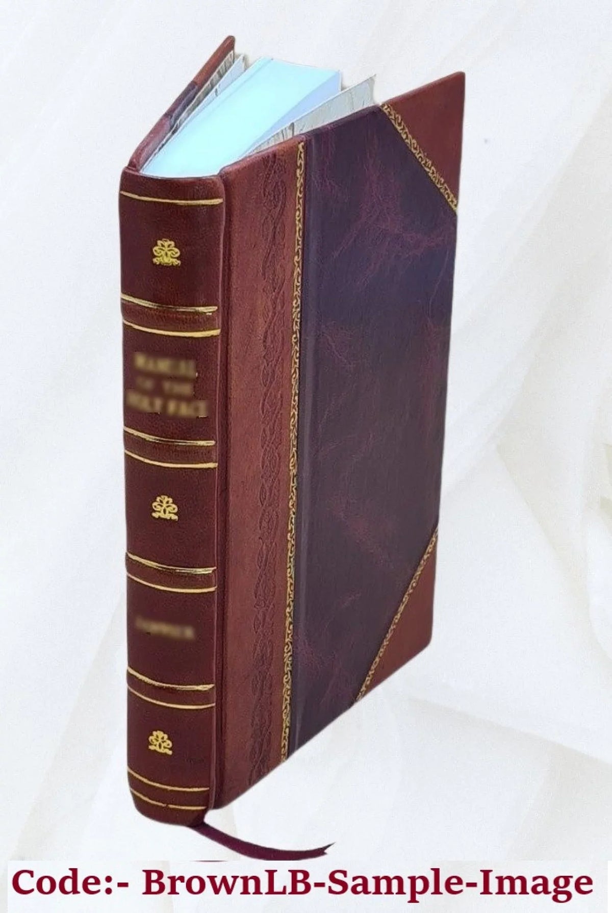 The Latter day luminary; by a committee of the Baptist Board of Foreign Missions for the United States ... Volume c.1 v.1 1818-19 1819 [Leather Bound]